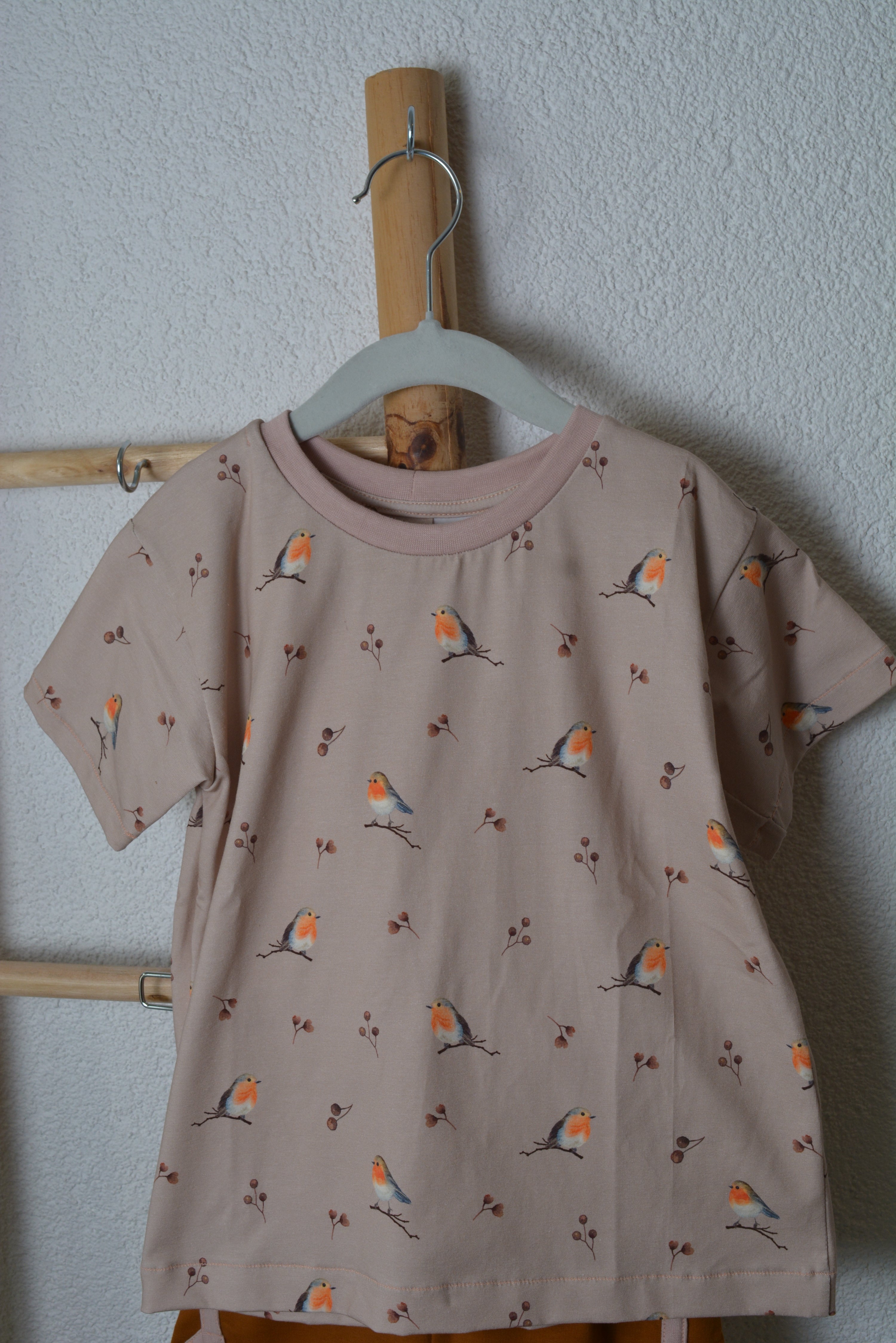 Rotkehlchen Set