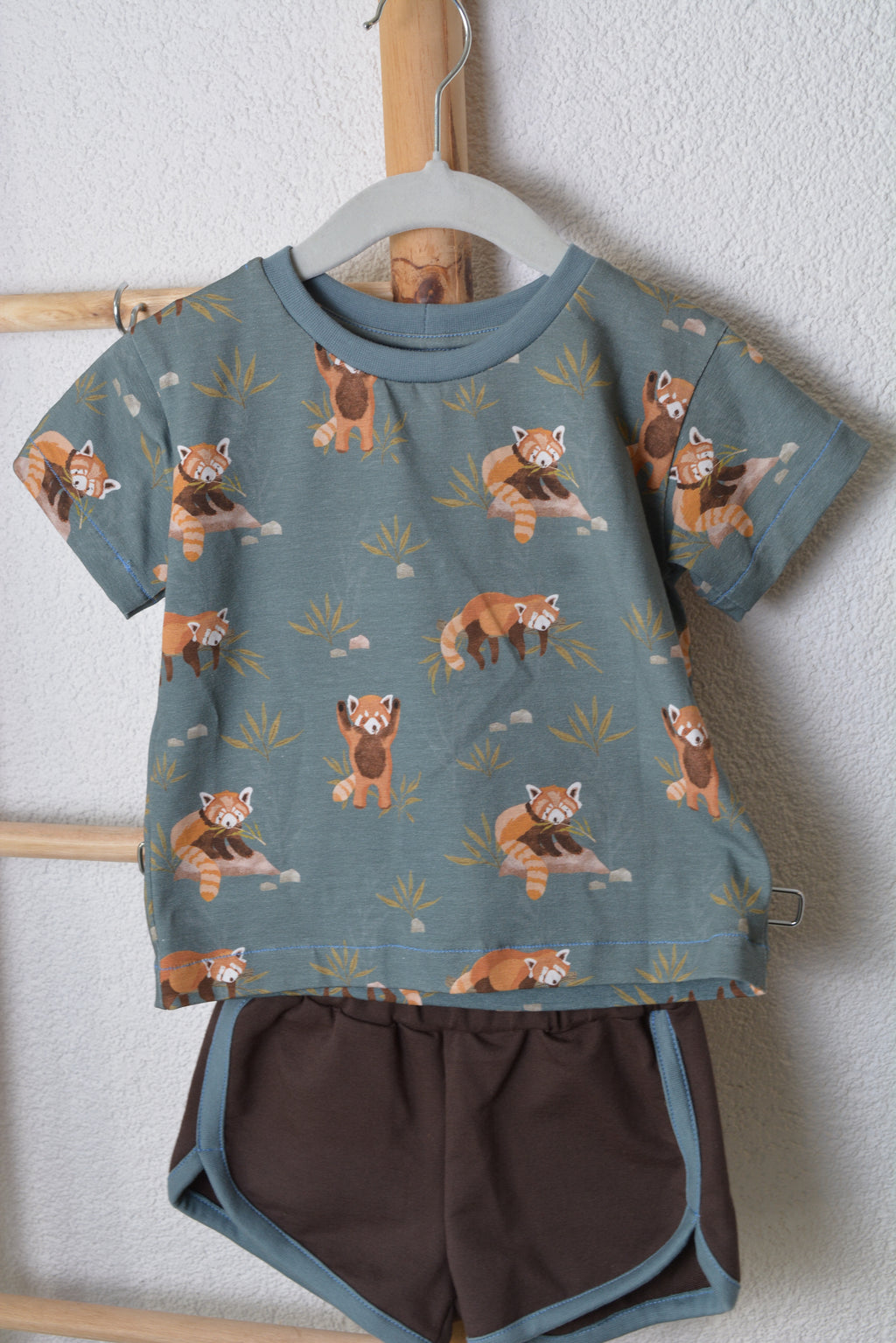 Little Raccoon GR.86
