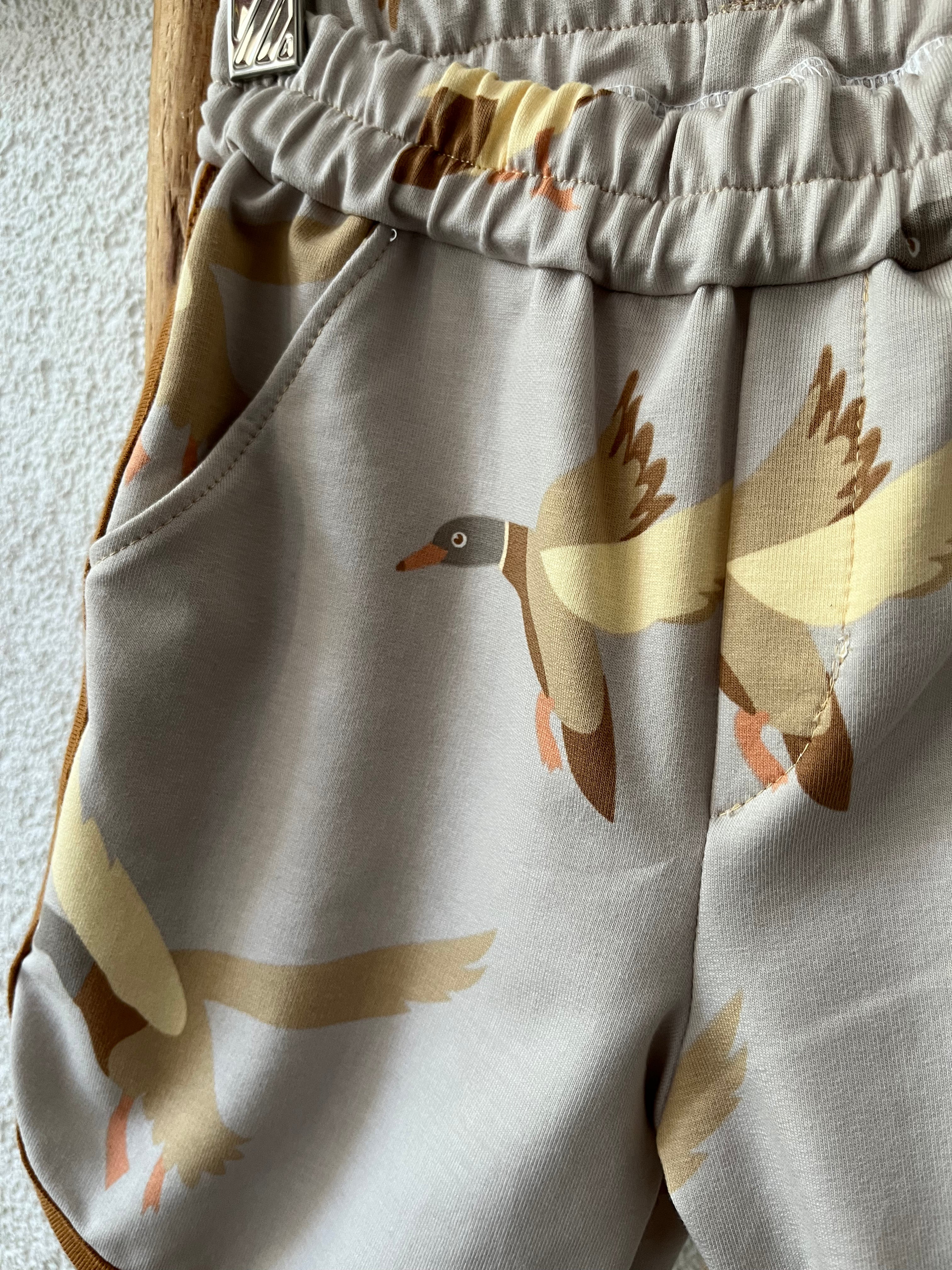 Wild Duck Shorts